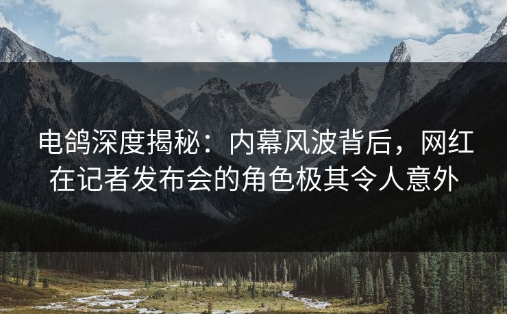 电鸽深度揭秘：内幕风波背后，网红在记者发布会的角色极其令人意外