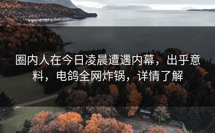 圈内人在今日凌晨遭遇内幕，出乎意料，电鸽全网炸锅，详情了解