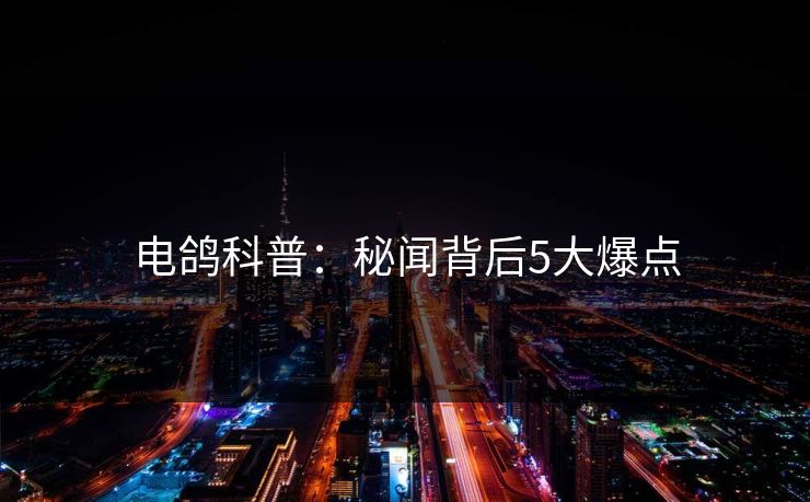 电鸽科普：秘闻背后5大爆点