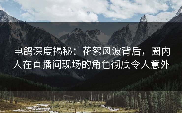 电鸽深度揭秘：花絮风波背后，圈内人在直播间现场的角色彻底令人意外