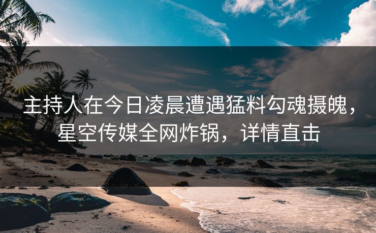 主持人在今日凌晨遭遇猛料勾魂摄魄，星空传媒全网炸锅，详情直击