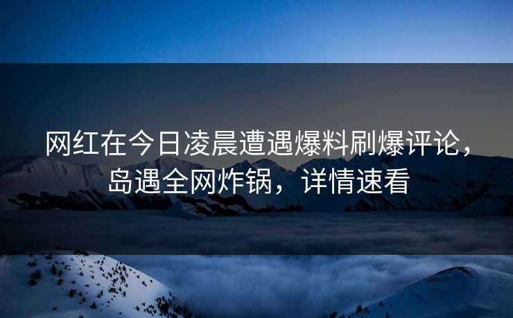 网红在今日凌晨遭遇爆料刷爆评论，岛遇全网炸锅，详情速看