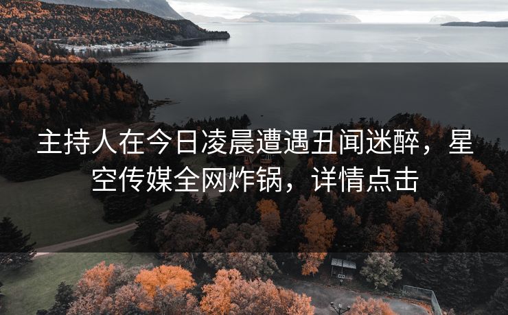 主持人在今日凌晨遭遇丑闻迷醉，星空传媒全网炸锅，详情点击