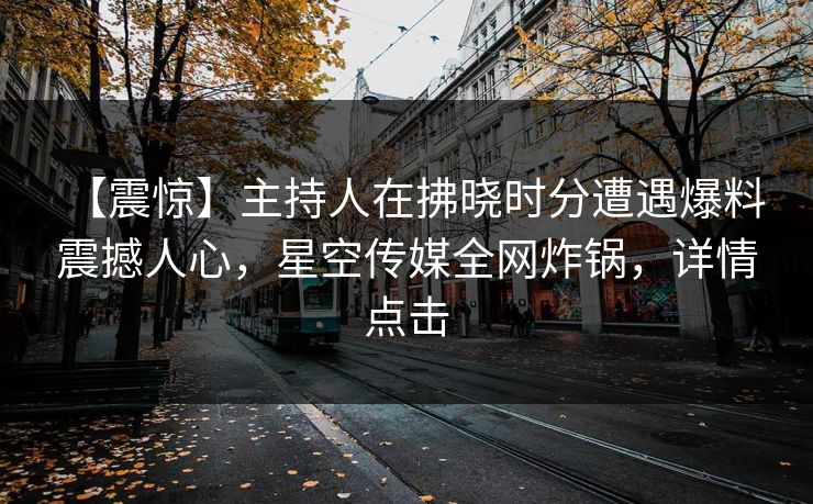 【震惊】主持人在拂晓时分遭遇爆料 震撼人心，星空传媒全网炸锅，详情点击