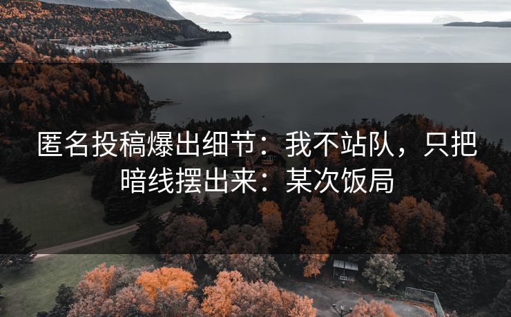 匿名投稿爆出细节：我不站队，只把暗线摆出来：某次饭局