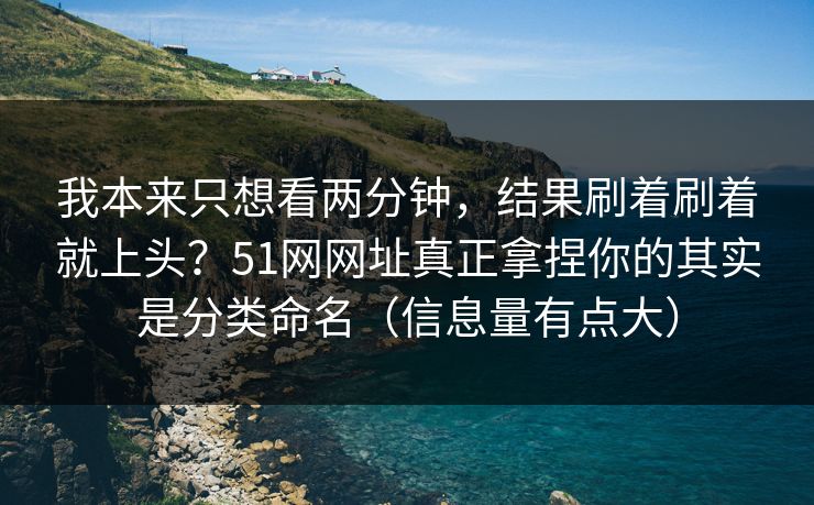 我本来只想看两分钟，结果刷着刷着就上头？51网网址真正拿捏你的其实是分类命名（信息量有点大）