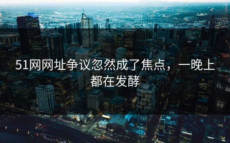 51网网址争议忽然成了焦点，一晚上都在发酵