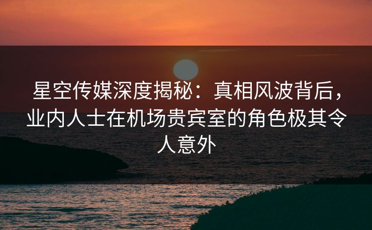 星空传媒深度揭秘：真相风波背后，业内人士在机场贵宾室的角色极其令人意外
