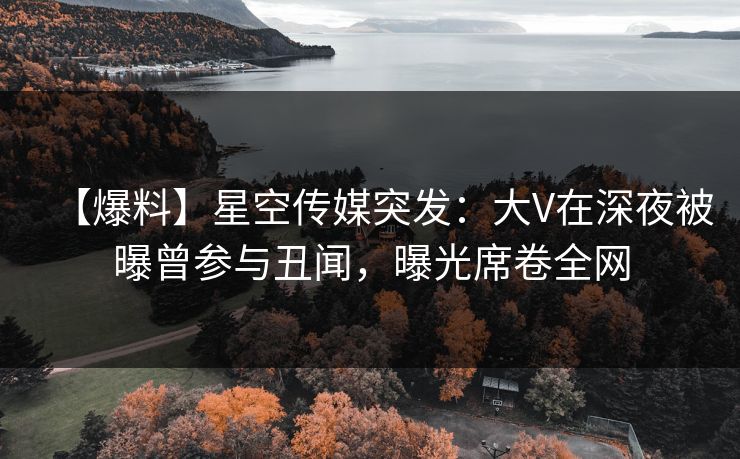 【爆料】星空传媒突发：大V在深夜被曝曾参与丑闻，曝光席卷全网