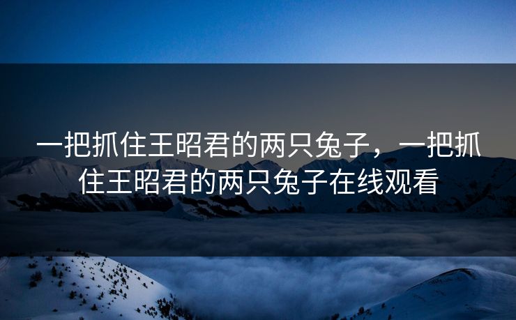 一把抓住王昭君的两只兔子，一把抓住王昭君的两只兔子在线观看